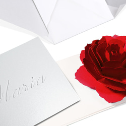 【名入れ】花のポップアップグリーティングカード〈レッドローズ〉バースデー・お祝い・母の日  カラーバリエーション有 3枚目の画像
