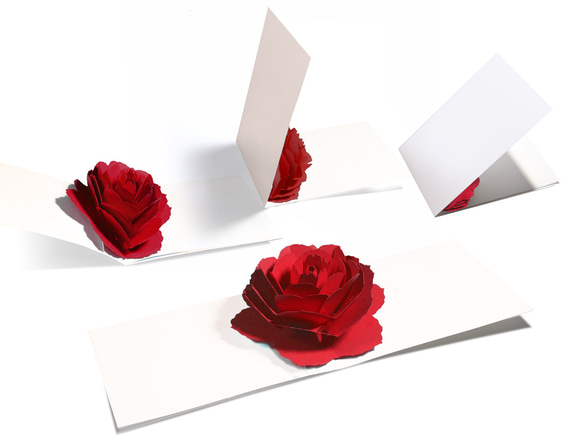 【名入れ】花のポップアップグリーティングカード〈レッドローズ〉バースデー・お祝い・母の日  カラーバリエーション有 1枚目の画像