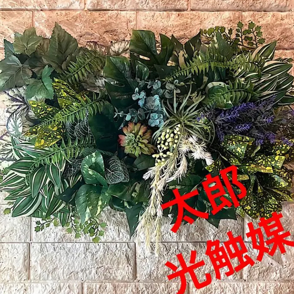 光触媒　人工観葉植物　ウォールグリーン　フェイクグリーン　ツピタンサス11 光触媒 人工観葉植物 ウォールグリーン フェイクグリーン