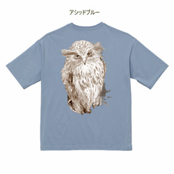 フクロウのTシャツビッグシルエット 5枚目の画像