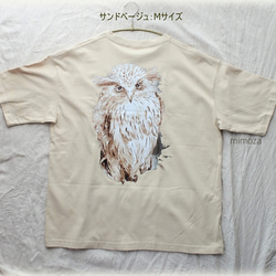 フクロウのTシャツビッグシルエット 10枚目の画像