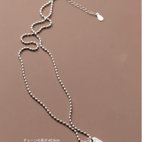 【未使用】pry プレートネックレス チャーム シンプル シルバー シルバー925 シンプル イニシャル good luck チャーム