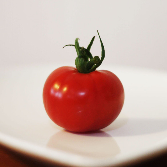 Sanae様専用 1枚目の画像