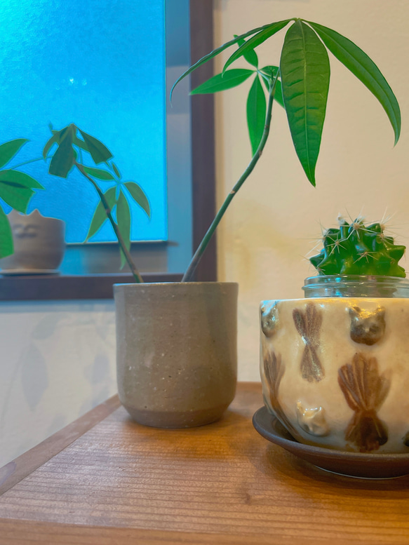 猫のレリーフ植木鉢 2枚目の画像
