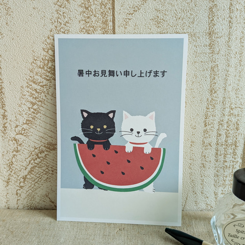 スイカからちょこん♡白ねこちゃん