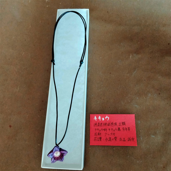 【特別価格】花ネックレス❖徳島県絶滅危惧種　キキョウ❖木彫り 2枚目の画像