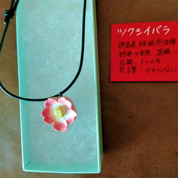 【特別価格】花ネックレス❖徳島県絶滅危惧種　ツクシイバラ❖木彫り 2枚目の画像