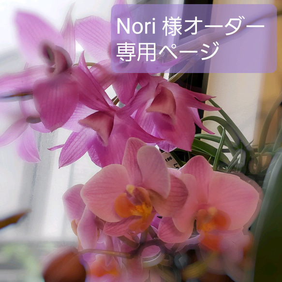 Nori 様　オーダー専用ページ 2枚目の画像