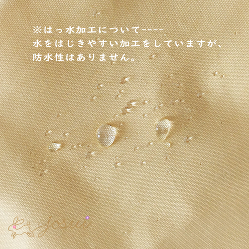 新作】はっ水オックス＊体操服巾着＊恐竜＊名前入り可 体操服袋