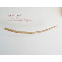 流木インテリア 曲線が美しい大型流木のハンガーラック 北欧 衣装掛け ハンギング 吊り下げ ハンガーポール 癒し N2 7枚目の画像