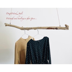 流木インテリア コブが突き出る天然流木のハンガーラック 北欧 衣装掛け ハンギング 吊り下げ ハンガーポール 癒し 6枚目の画像