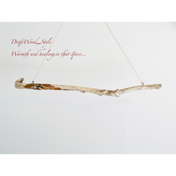 流木インテリア コブが突き出る天然流木のハンガーラック 北欧 衣装掛け ハンギング 吊り下げ ハンガーポール 癒し 7枚目の画像