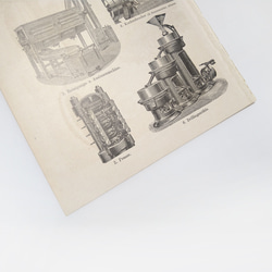 カカオ イラスト リトグラフ 植物 図版 ヘルダー大百科事典 ヴィンテージペーパー 1956-23 11枚目の画像