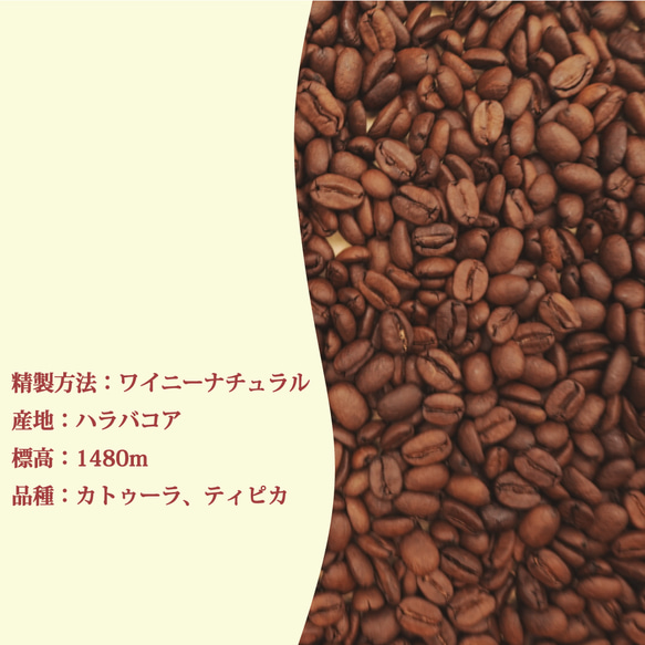 コーヒー豆　中煎り ドミニカ 100g 3枚目の画像