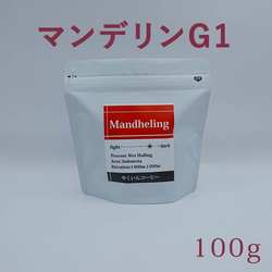 コーヒー豆　中深煎り マンデリンG1 100g 1枚目の画像