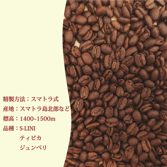 コーヒー豆　中深煎り マンデリンG1 100g 3枚目の画像