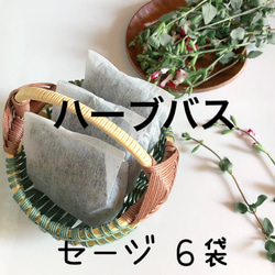 たんぽぽの綿毛 20輪 ＊ 加工済み ふわふわ 天然素材 タンポポ