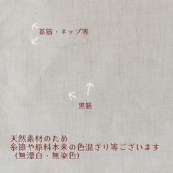 ヘンプ100％　麻　Tシャツ　レディース　オーガニック　天然素材　カットソー　日本製　無染色無漂白 夏　涼しい　無地　 10枚目の画像