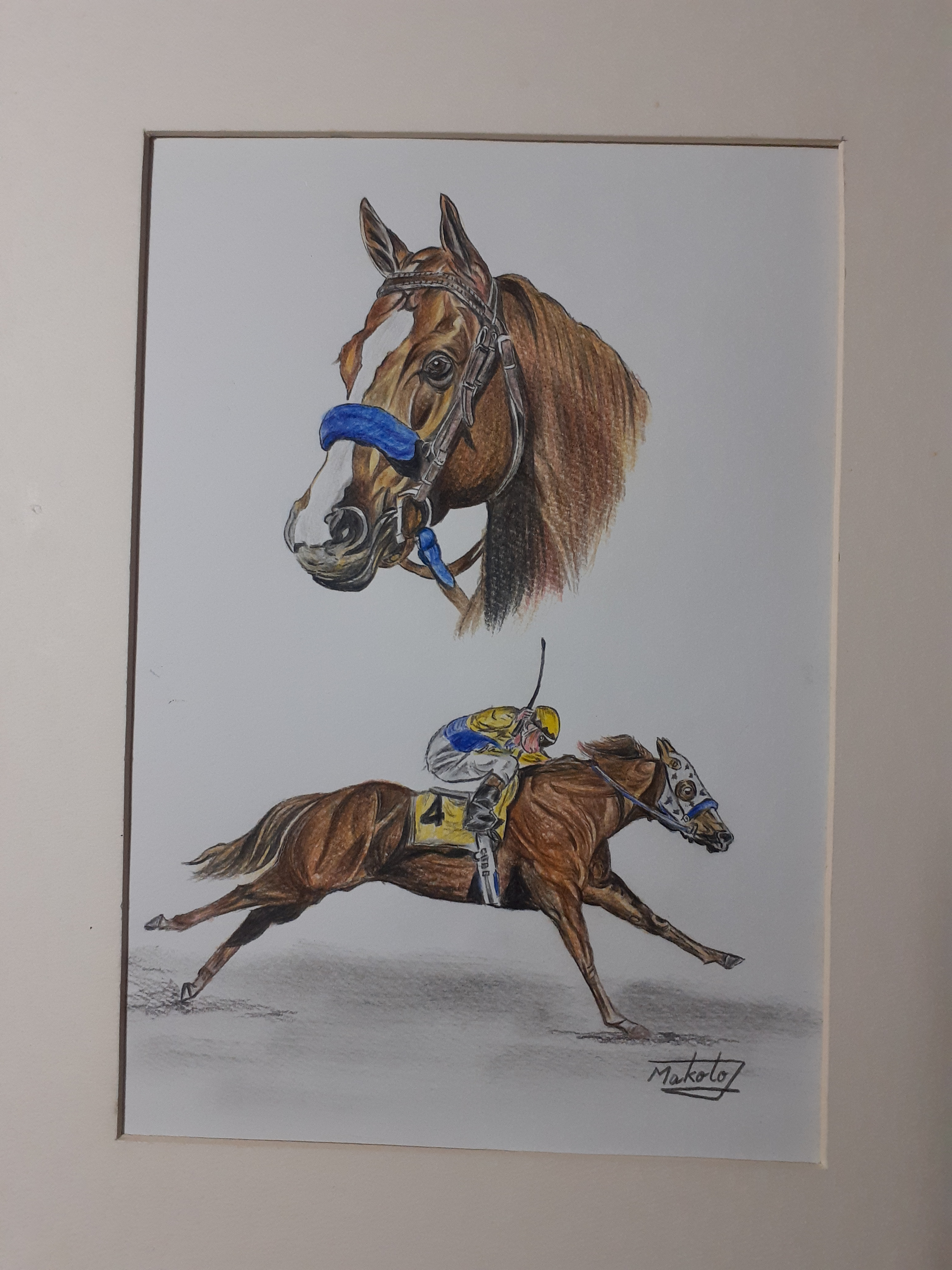 色鉛筆画 原画 メイケイエール 手描き イラスト No.50 馬 色鉛筆画】 メイケイエール ポストカード 競走馬 イラスト
