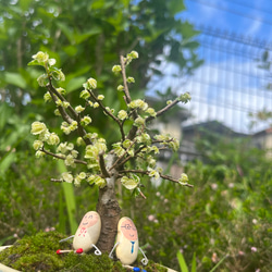 まめ太　飾り物 1枚目の画像