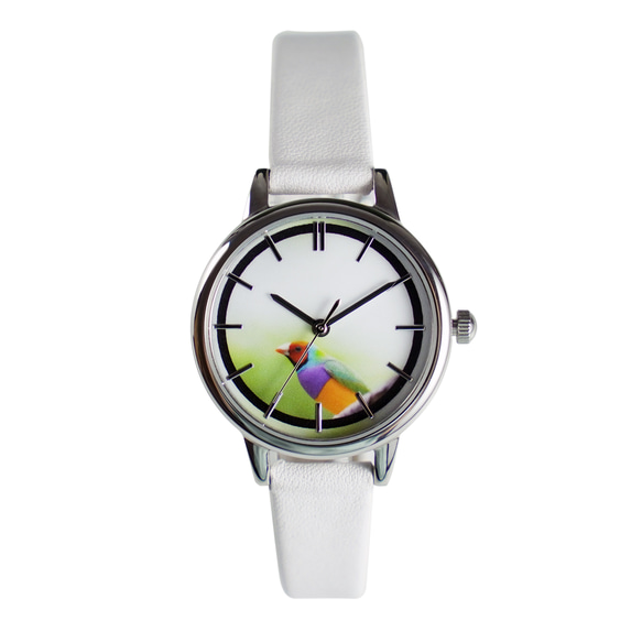 七彩文鳥手錶 白色錶帶 女裝手錶 全球免運 第6張的照片