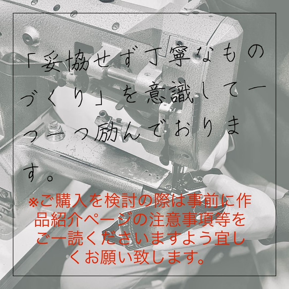 【追加オプション】『2200円』 17枚目の画像