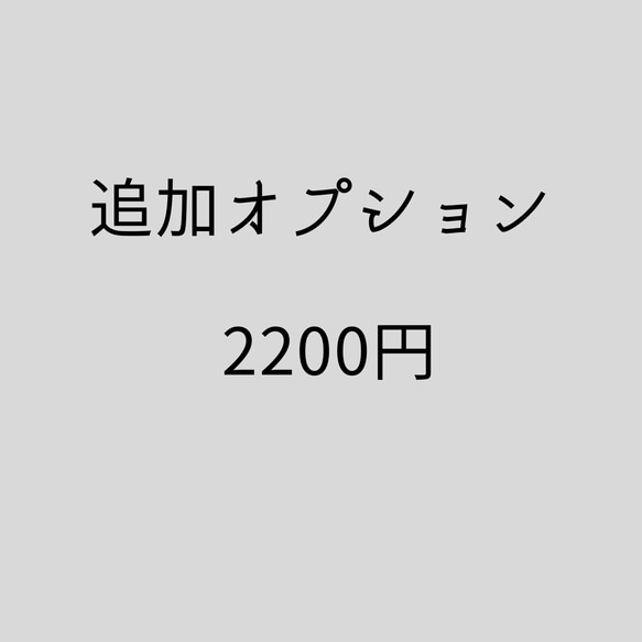 【追加オプション】『2200円』 1枚目の画像