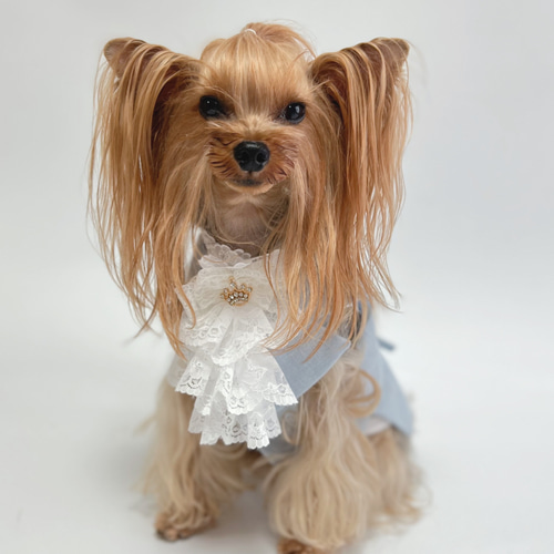 犬 犬服 犬用 ペット服 チョーカー アクセサリー ハーネス 胴輪