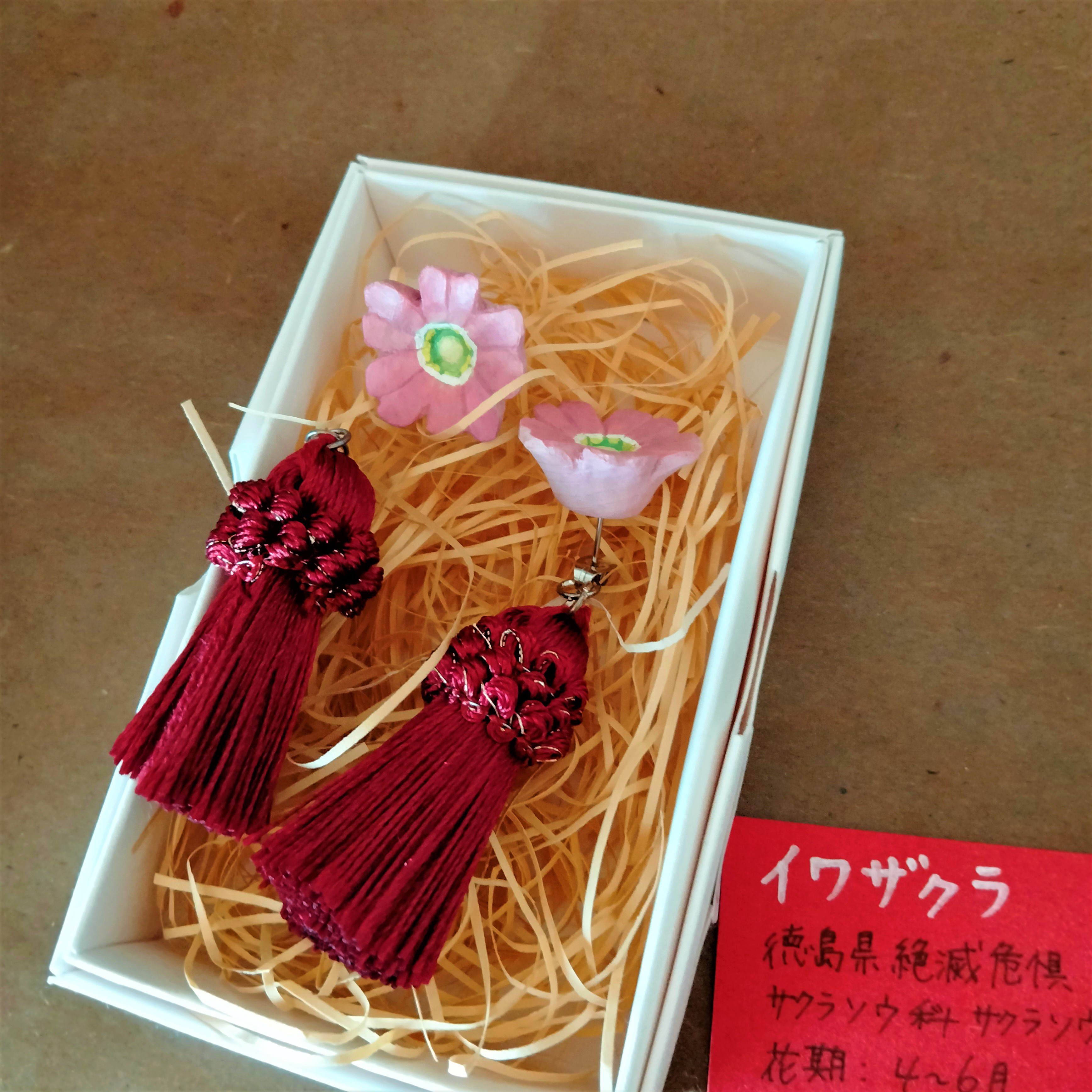 【特別価格】木彫りピアス両耳❖徳島県絶滅危惧種　イワザクラ❖