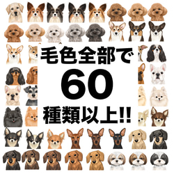 【 犬種選べる ホワイトTシャツ  】水彩画風イラスト 毛色60種類以上　犬　ペット　うちの子　プレゼント 17枚目の画像