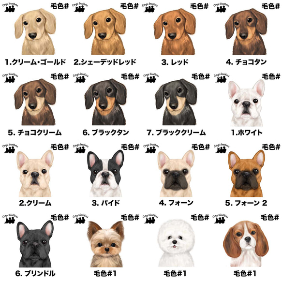 【 犬種選べる ホワイトTシャツ  】水彩画風イラスト 毛色60種類以上　犬　ペット　うちの子　プレゼント 4枚目の画像