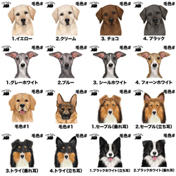 【 犬種選べる ホワイトTシャツ  】水彩画風イラスト 毛色60種類以上　犬　ペット　うちの子　プレゼント 6枚目の画像