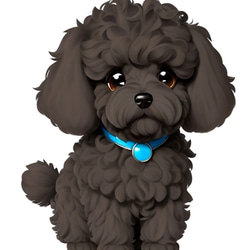 トイプードル　ドライ　Tシャツ　黒犬　ペット　グッズ　トイプー 2枚目の画像