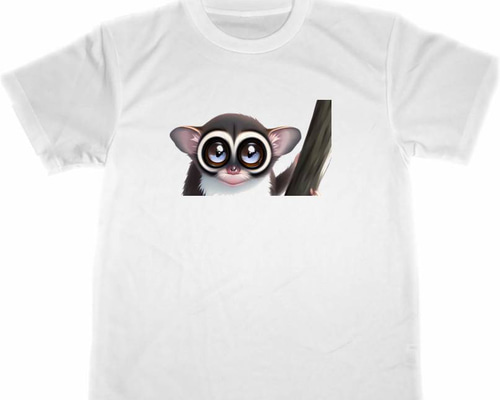 bdfdbc666419fa191f276e3b1952ab