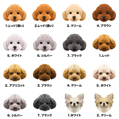 犬用品まとめてサンプル付き色んな犬種