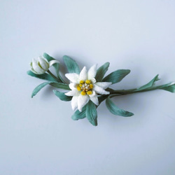 Edelweiss Yellow S * Moa * Corsage（帽子） 第2張的照片