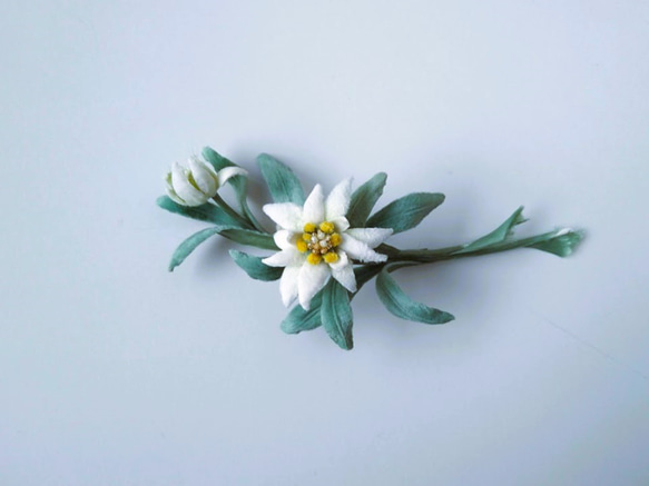 Edelweiss Yellow S * Moa * Corsage（帽子） 第2張的照片