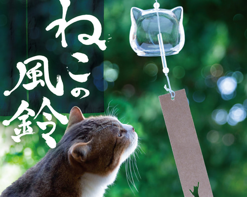 6b8e870d75180ef7395a6a7f2e775a