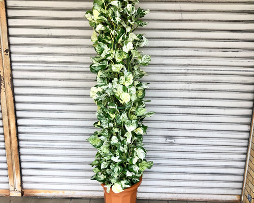 5dee74dcff2aa6ae5fc63bc0b1184c