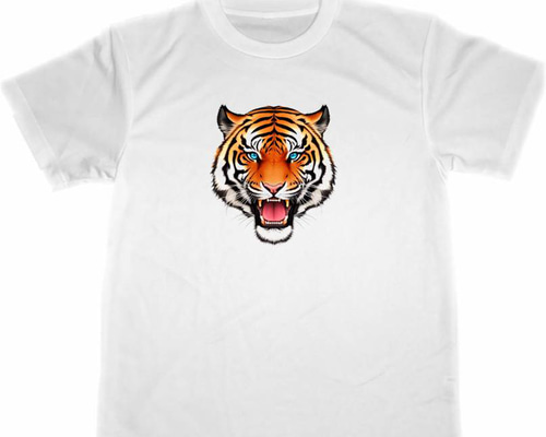お買い得3点セット虎デザインTシャツ＆キャップセット XXXL img002_large.jpg?v=1643969622