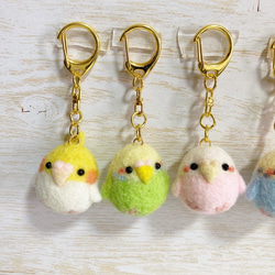 つぶらな瞳のちっちゃな相棒♡ちびころインコぶらざーず♡羊毛フェルトキーホルダー parakeet keychain 7枚目の画像