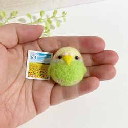 つぶらな瞳のちっちゃな相棒♡ちびころインコぶらざーず♡羊毛フェルトキーホルダー parakeet keychain 19枚目の画像