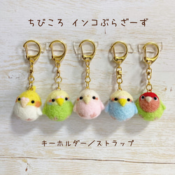 つぶらな瞳のちっちゃな相棒♡ちびころインコぶらざーず♡羊毛フェルトキーホルダー parakeet keychain 1枚目の画像