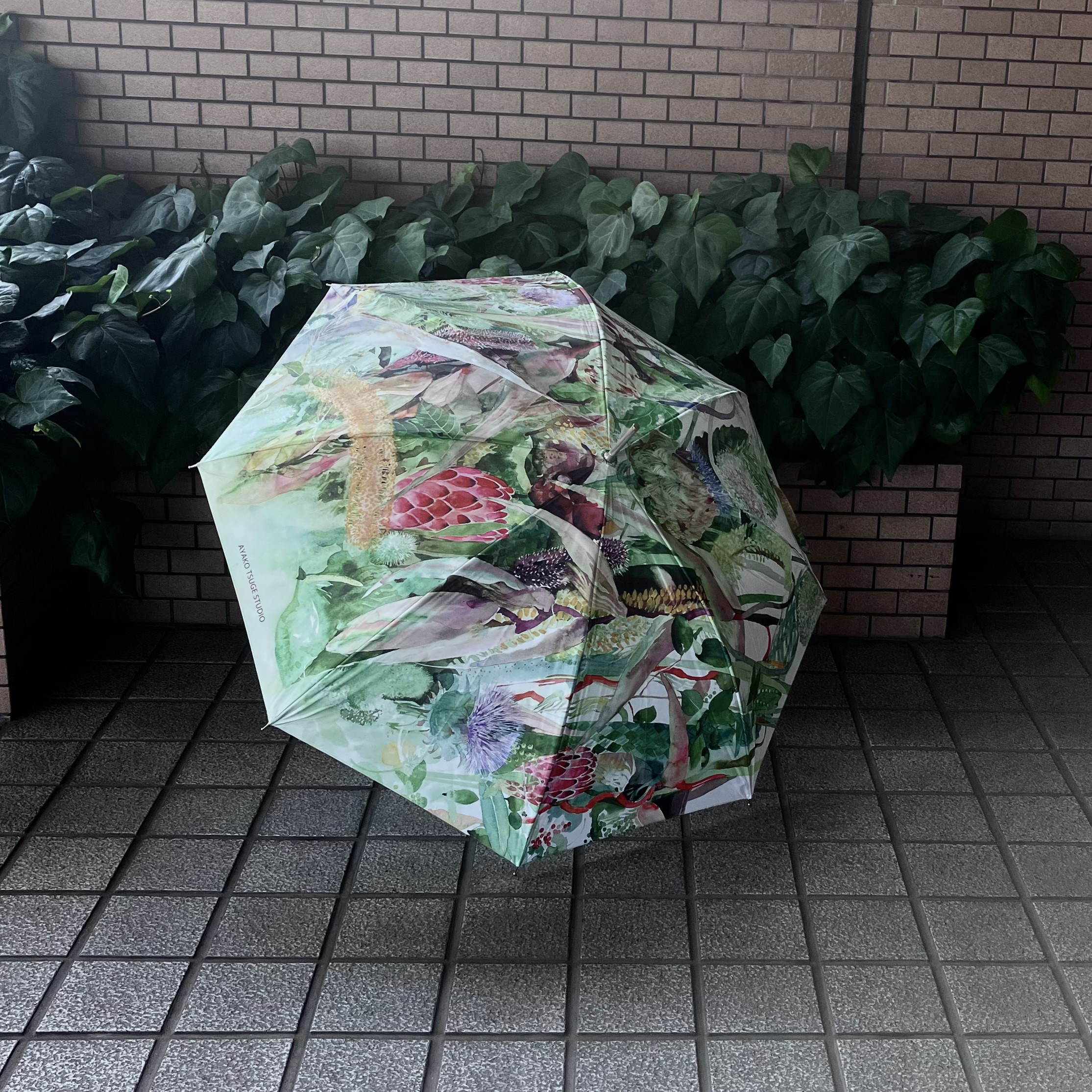 ワケありな逸品】一枚絵 Natural Parfection 雨傘 ブラウンハンドル 傘