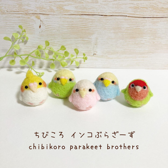 つぶらな瞳のちっちゃな相棒♡ちびころインコぶらざーず♡羊毛フェルト 小鳥 parrot parakeet felted 1枚目の画像