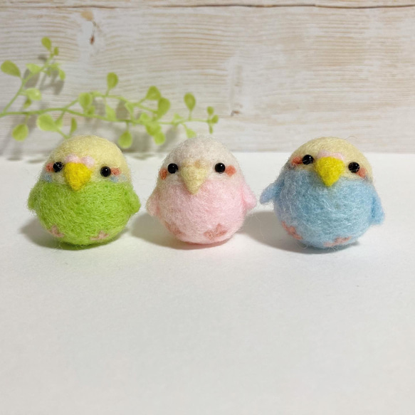 つぶらな瞳のちっちゃな相棒♡ちびころインコぶらざーず♡羊毛フェルト 小鳥 parrot parakeet felted 9枚目の画像