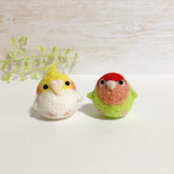 つぶらな瞳のちっちゃな相棒♡ちびころインコぶらざーず♡羊毛フェルト 小鳥 parrot parakeet felted 4枚目の画像