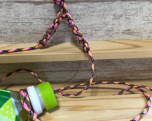 2acbce233cfd0859d75f4682251a41