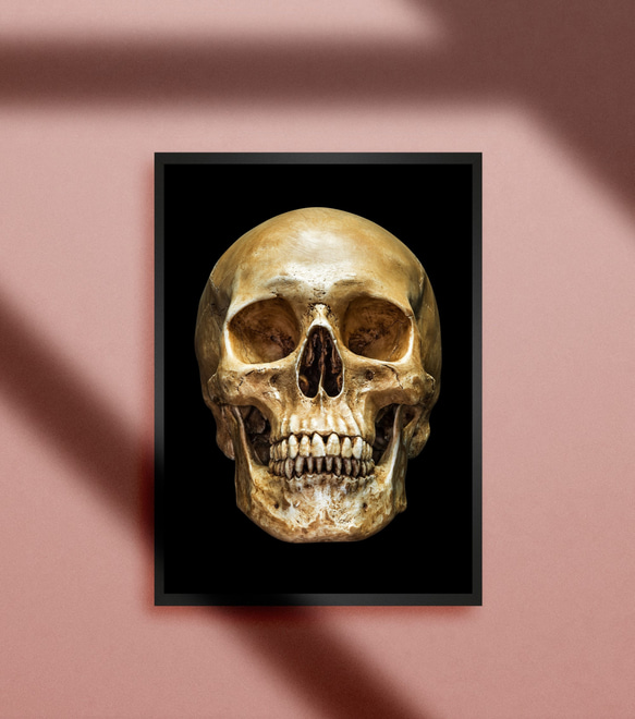 スカルヘッド スカル 骸骨 ドクロ ホラー ゴシック パンク ロック 悪魔崇拝 ヴィンテージ A4アートポスター 1枚目の画像