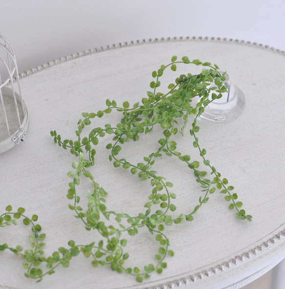 【枯れない観葉植物】グリーンビーンバインのウォーターアレンジ／clayガラス使用・観葉植物 3枚目の画像